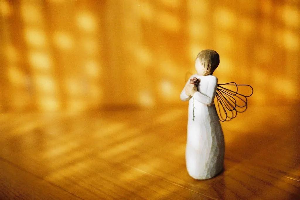 特蕾莎修女对整个世界的慈悲,特蕾莎修女的感人事迹