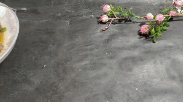 梅菜扣肉米饭怎么做好吃,下饭神器梅干菜扣肉