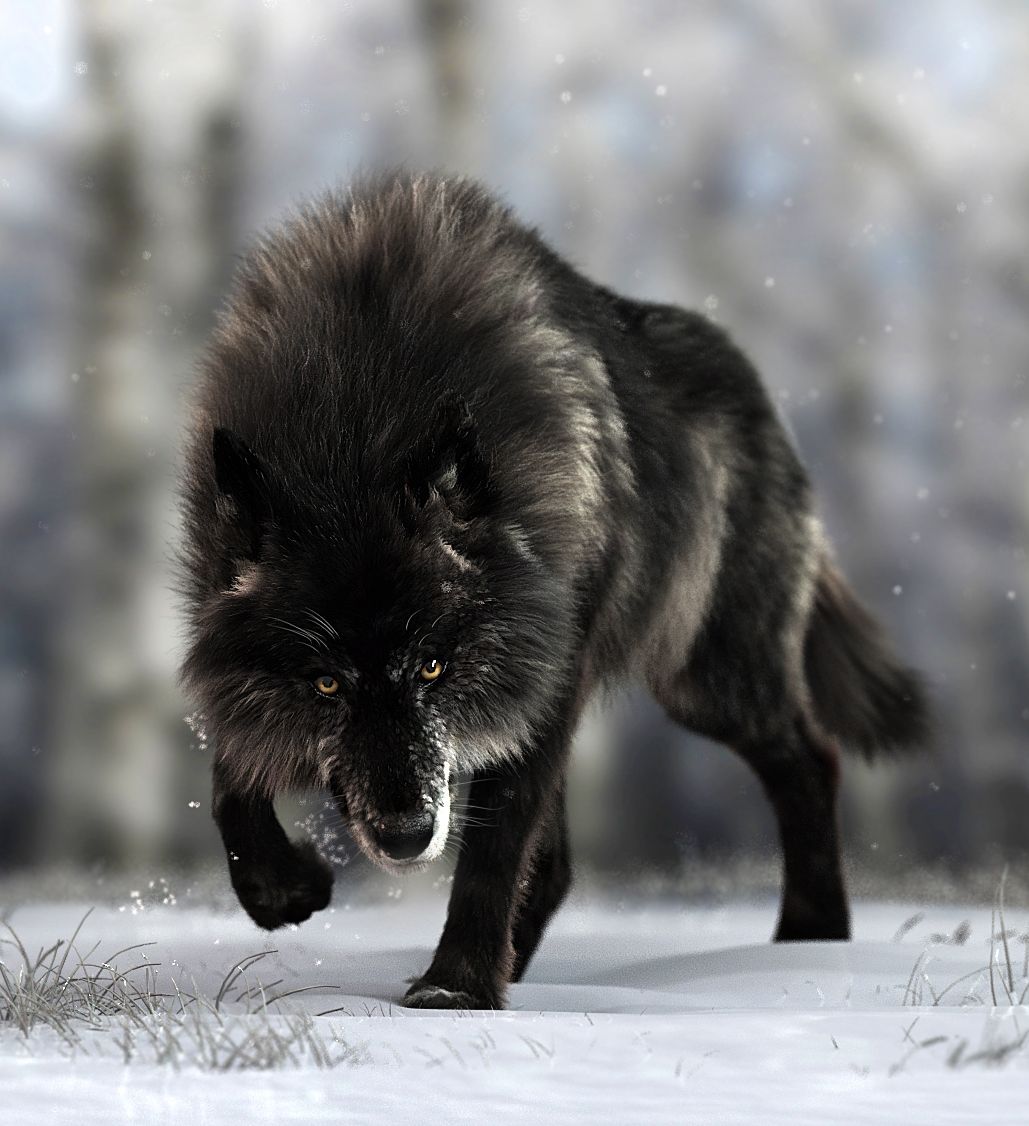 全球十大罕见黑色神兽,最昂贵的十大黑动物