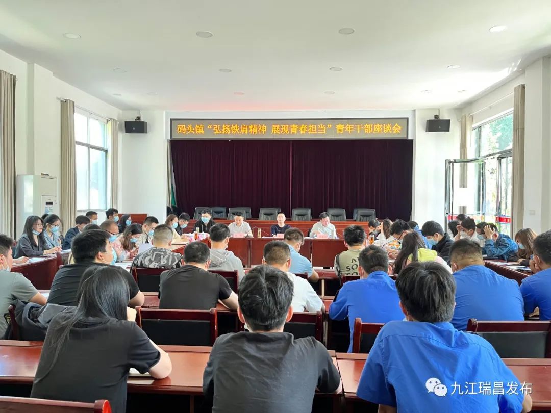 码头镇：示范引领作表率优化服务促发展
