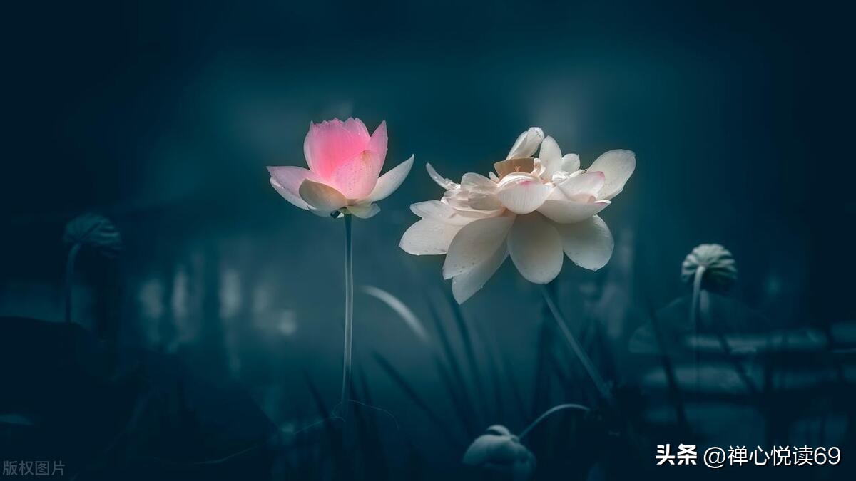 职业不分高低贵贱视频,职业不分高低每一种都值得被尊重