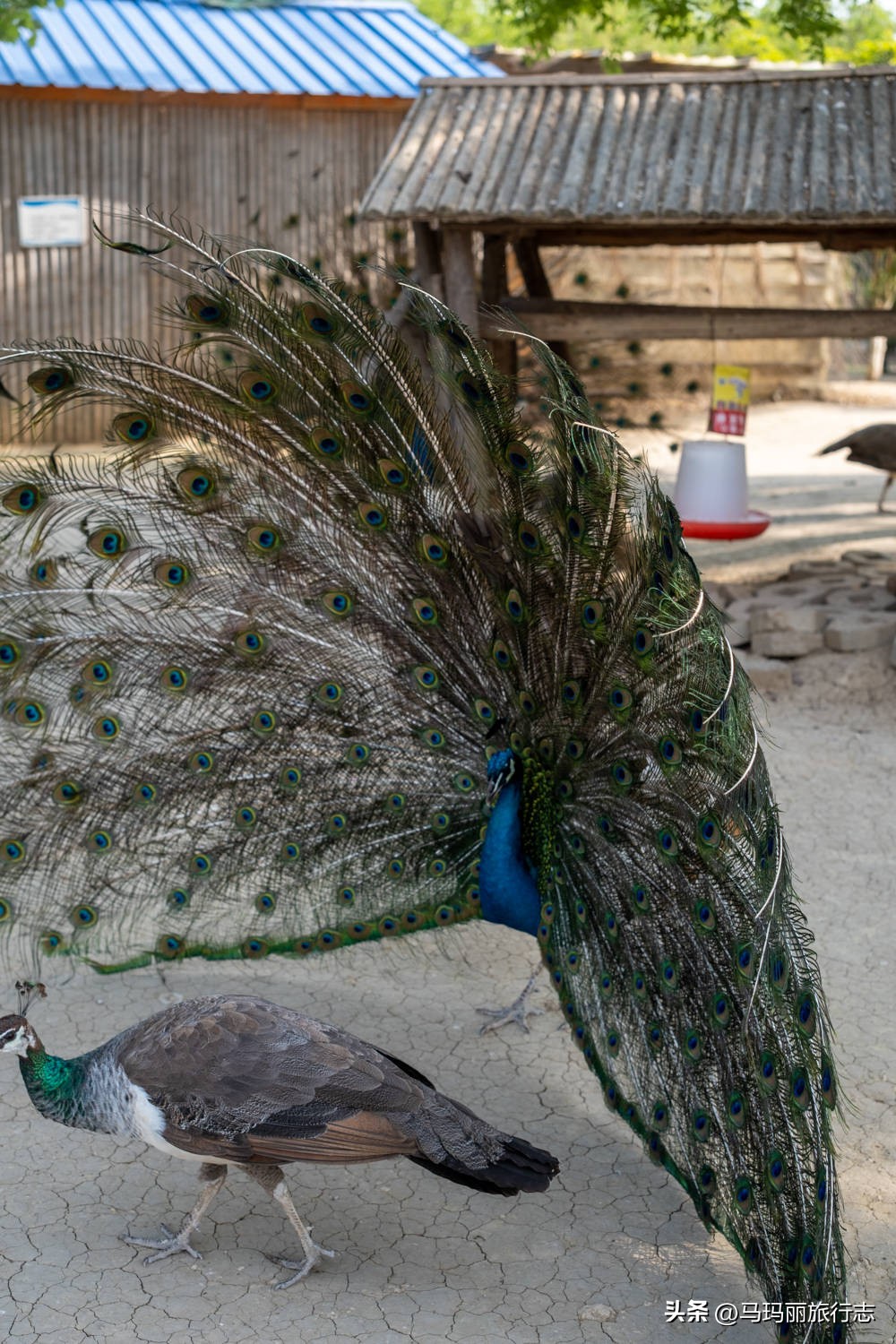 宿州到底有多好耍的地方,宿州有哪里值得去的地方
