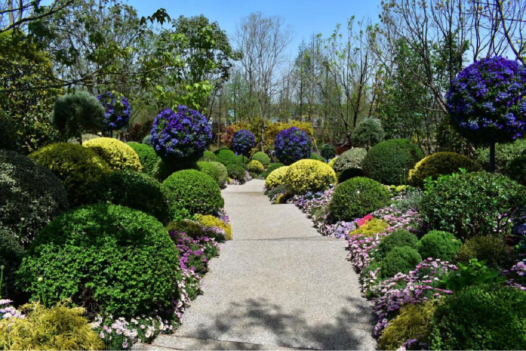 那些被我们忽略的风景,球球景观