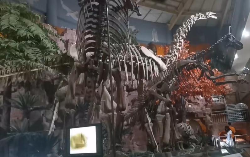 郑州室内旅游攻略必去景点,郑州景点室内游玩攻略