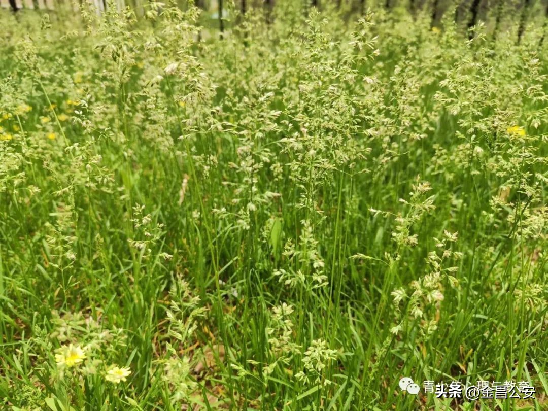 高考心理疏导,高考心理疏导100个方法