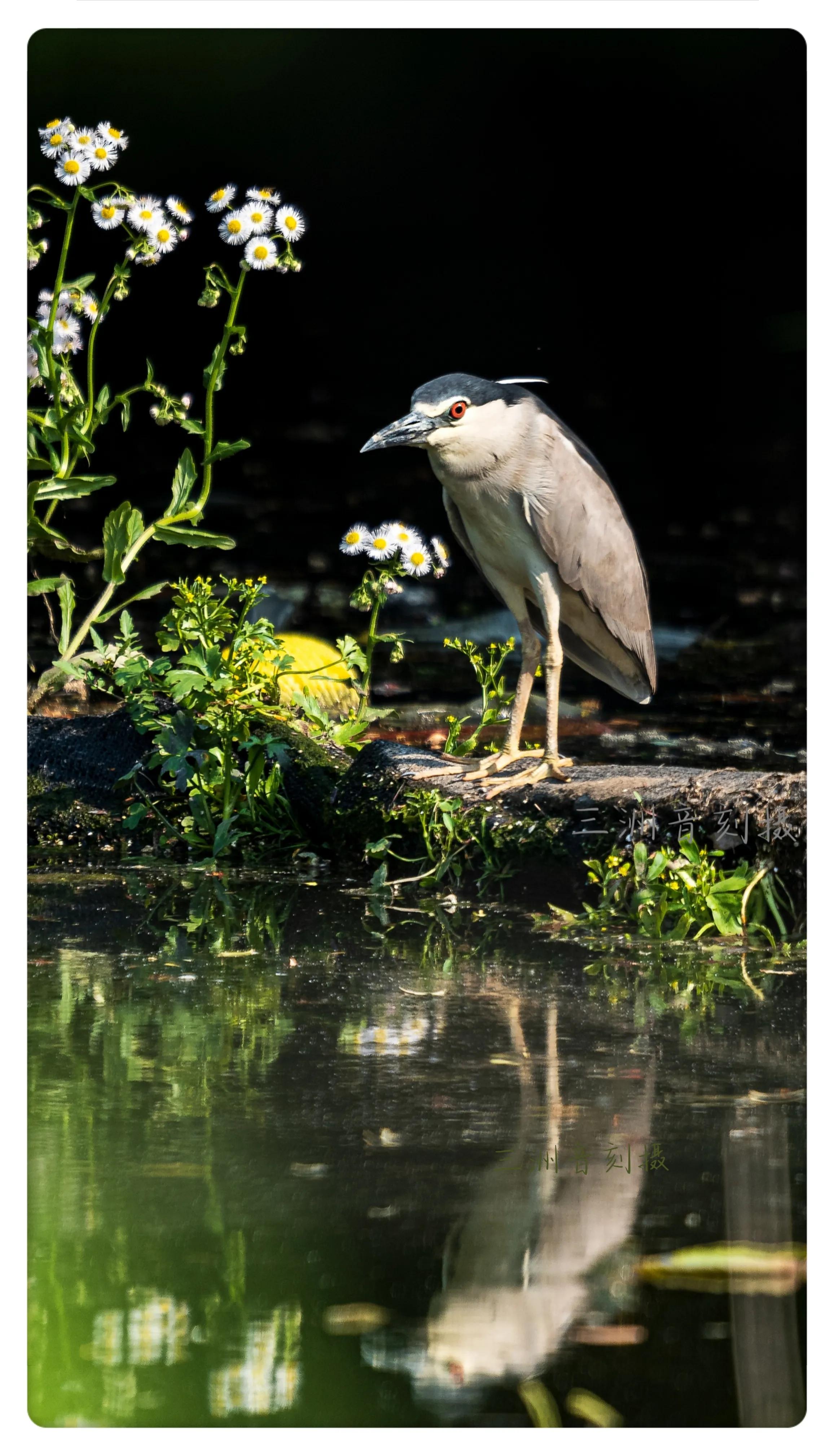 上海国际汽车城安亭,上海安亭国际汽车城