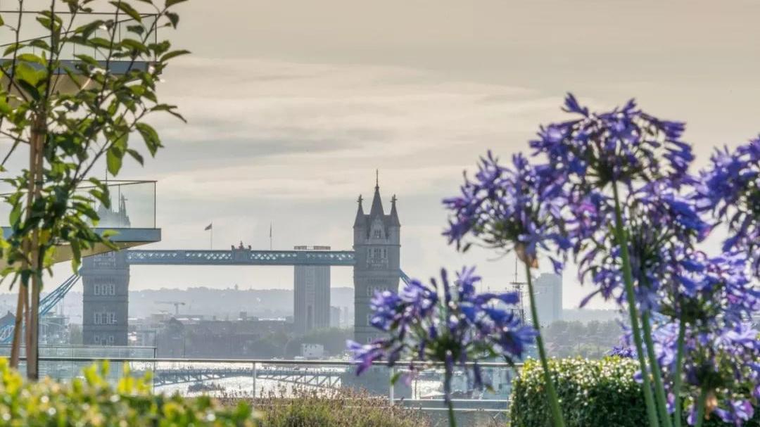 最新英国签证申请表填写详解,英国签证全攻略含面签材料详单