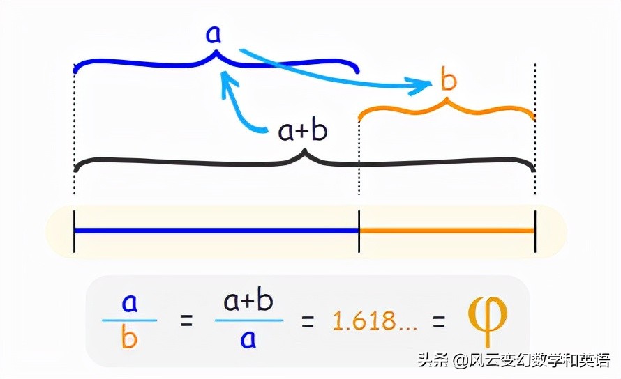黄金比例分割的身材,黄金比例分割公式