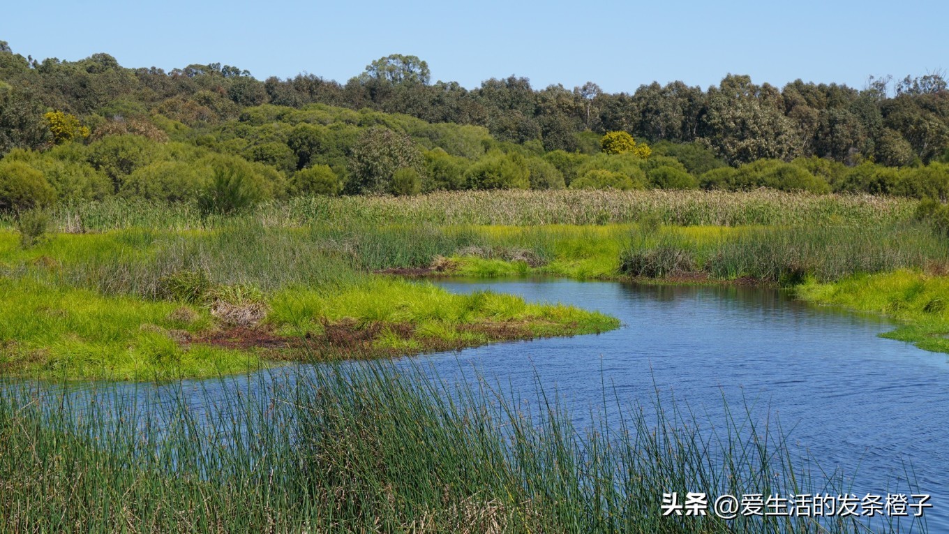 一路向北全程1980公里,西澳自驾游最佳路线图