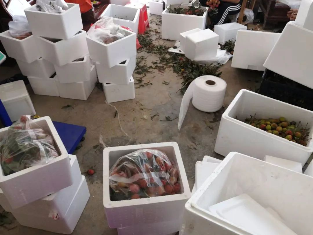 一棵大荔枝树一年能赚多少钱,一棵荔枝树卖几十万