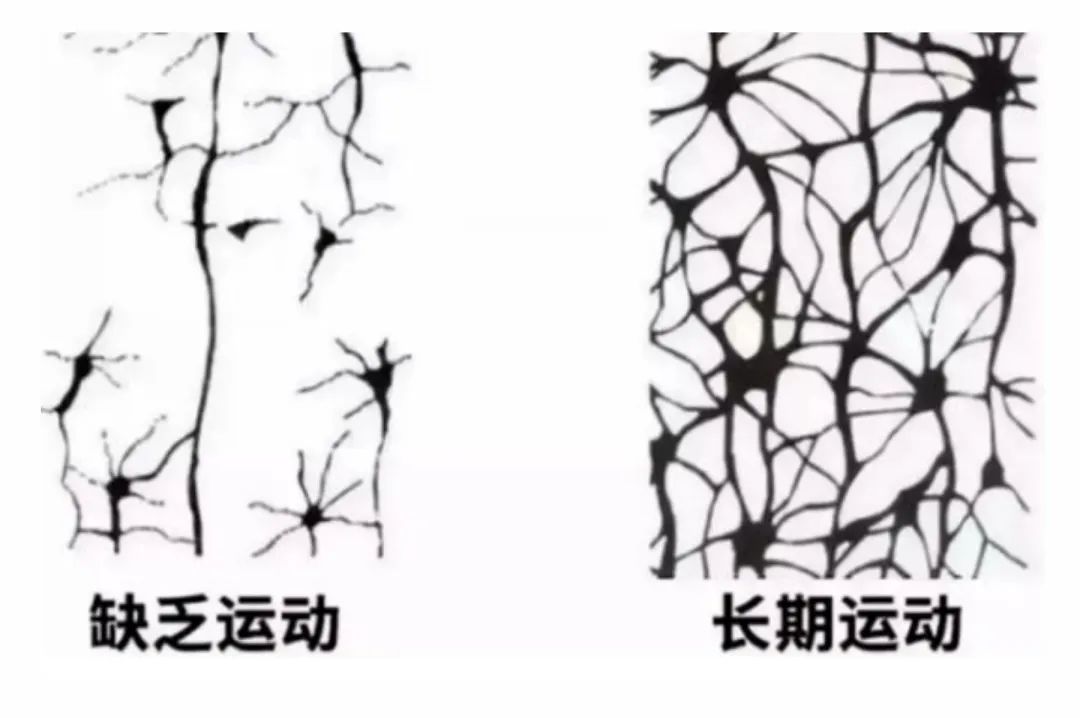 小孩每天两小时户外运动,孩子每天保持2小时户外运动原创