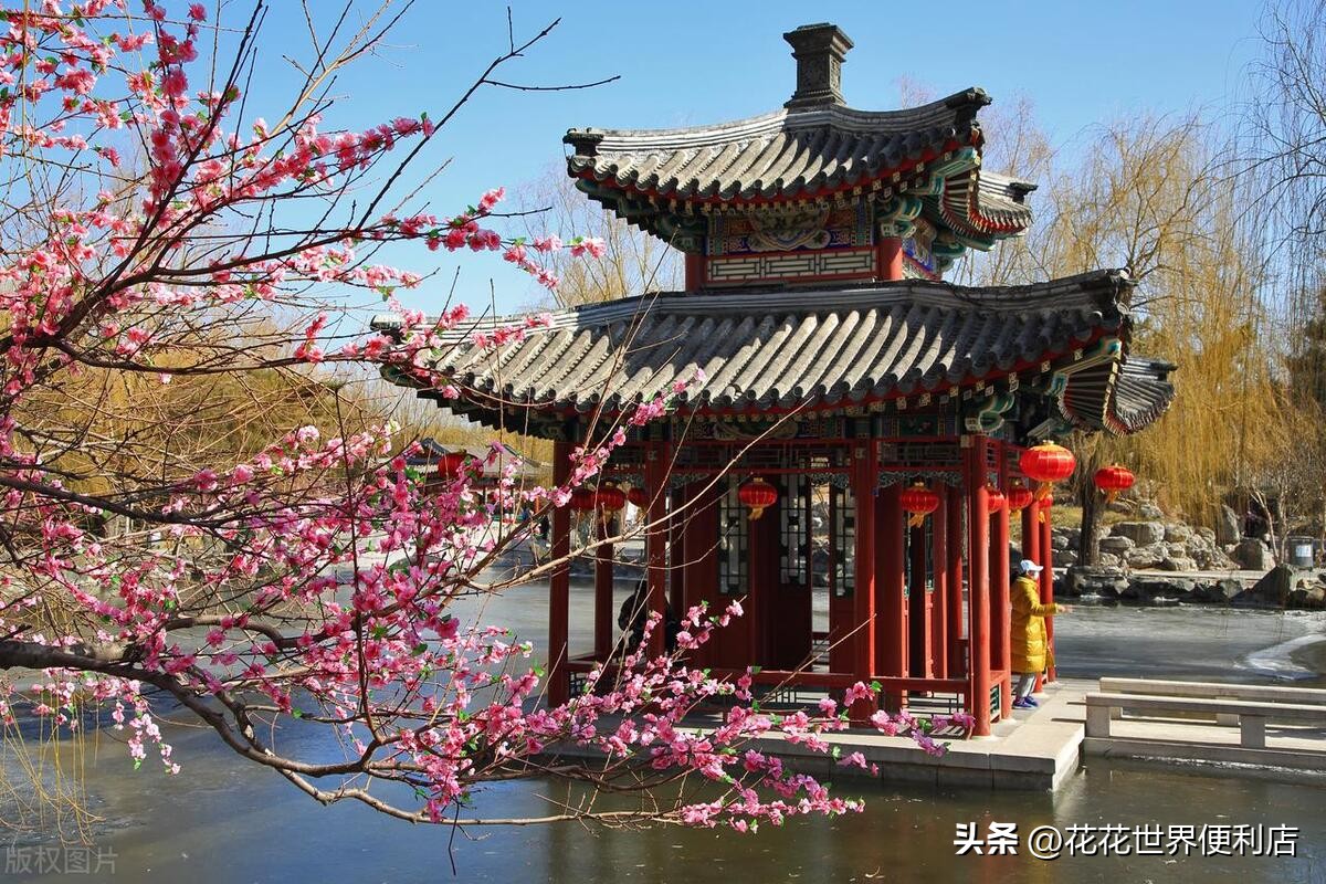 青浦城区和青浦新城板块有啥区别,上海五大新城青浦前景最好