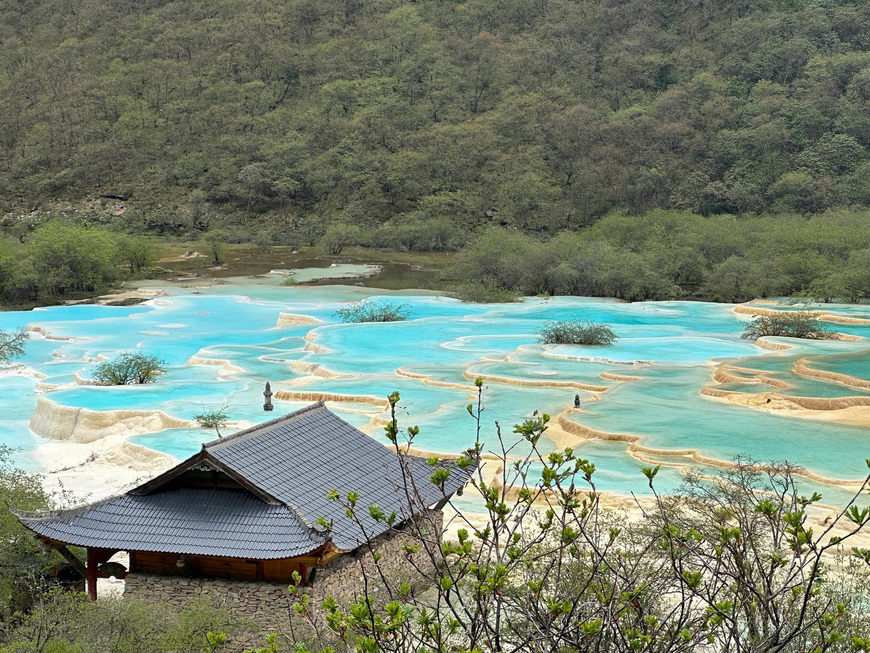 去九寨沟真不方便,九寨沟3日游九寨沟报团价目表