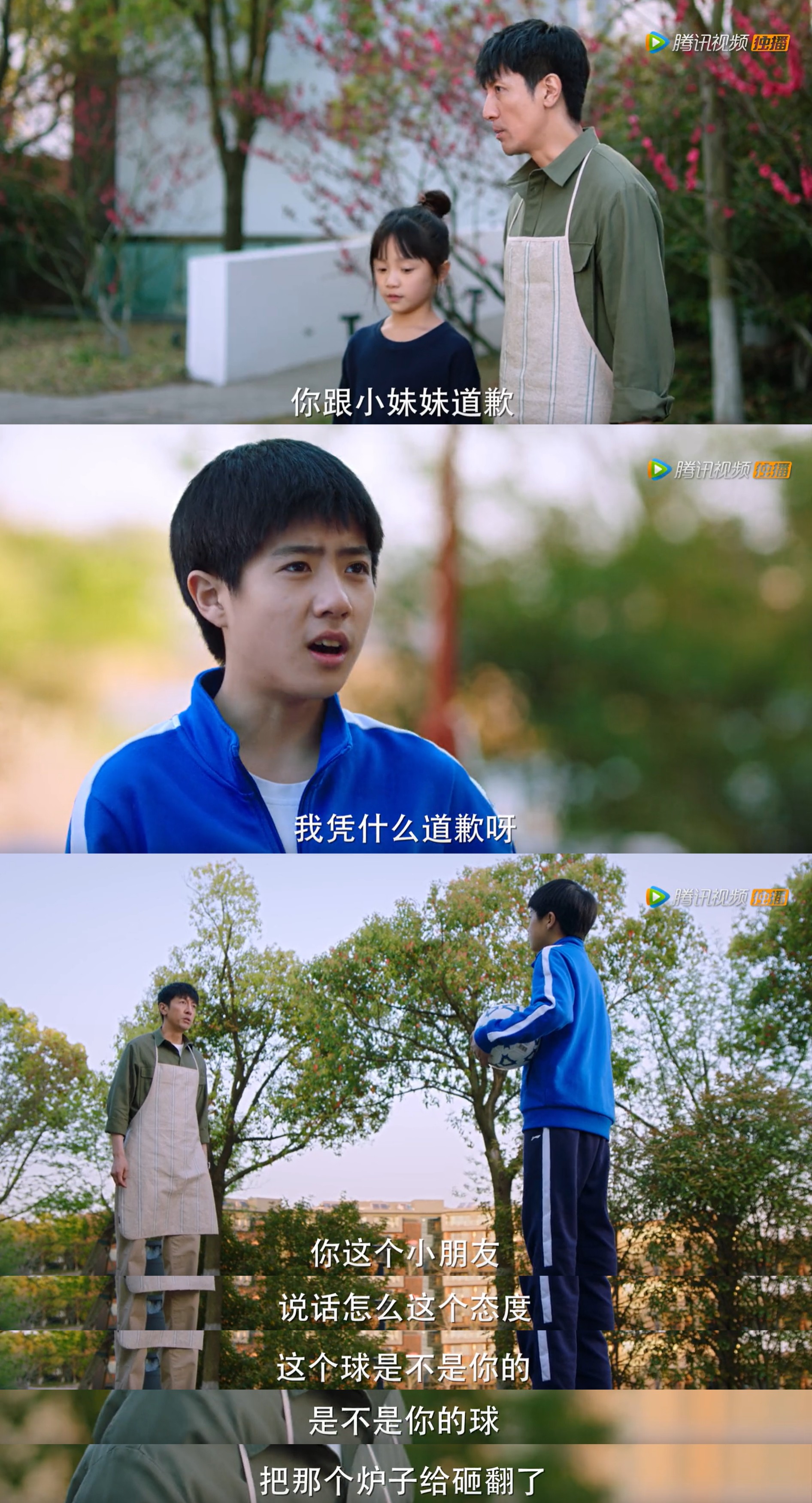 完美伴侣到底好不好,完美伴侣有哪些看点