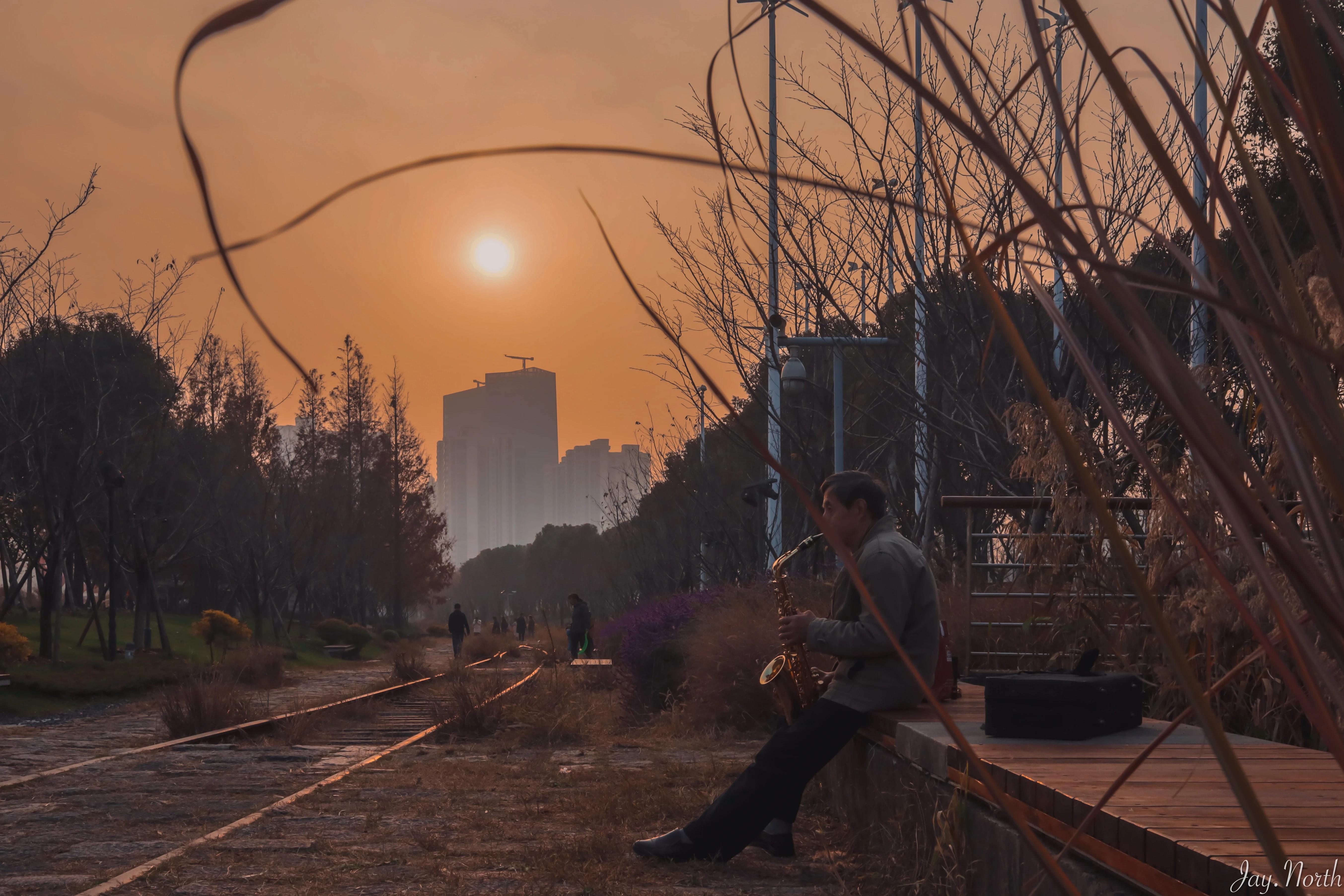 上海冬天去哪里玩,上海的冬天冷不冷