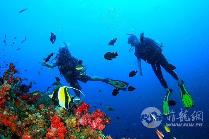 菲律宾潜水胜地视频,菲律宾十佳海岛
