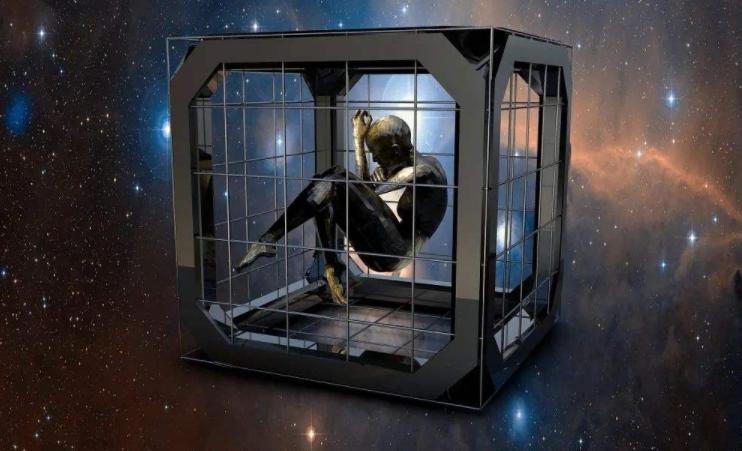 我们活在巨大的差距里书籍解读,我们活在一个巨大的假象里