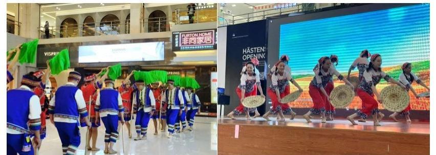 康养中国·“春晖楚韵”红枫群艺节大型快闪秀