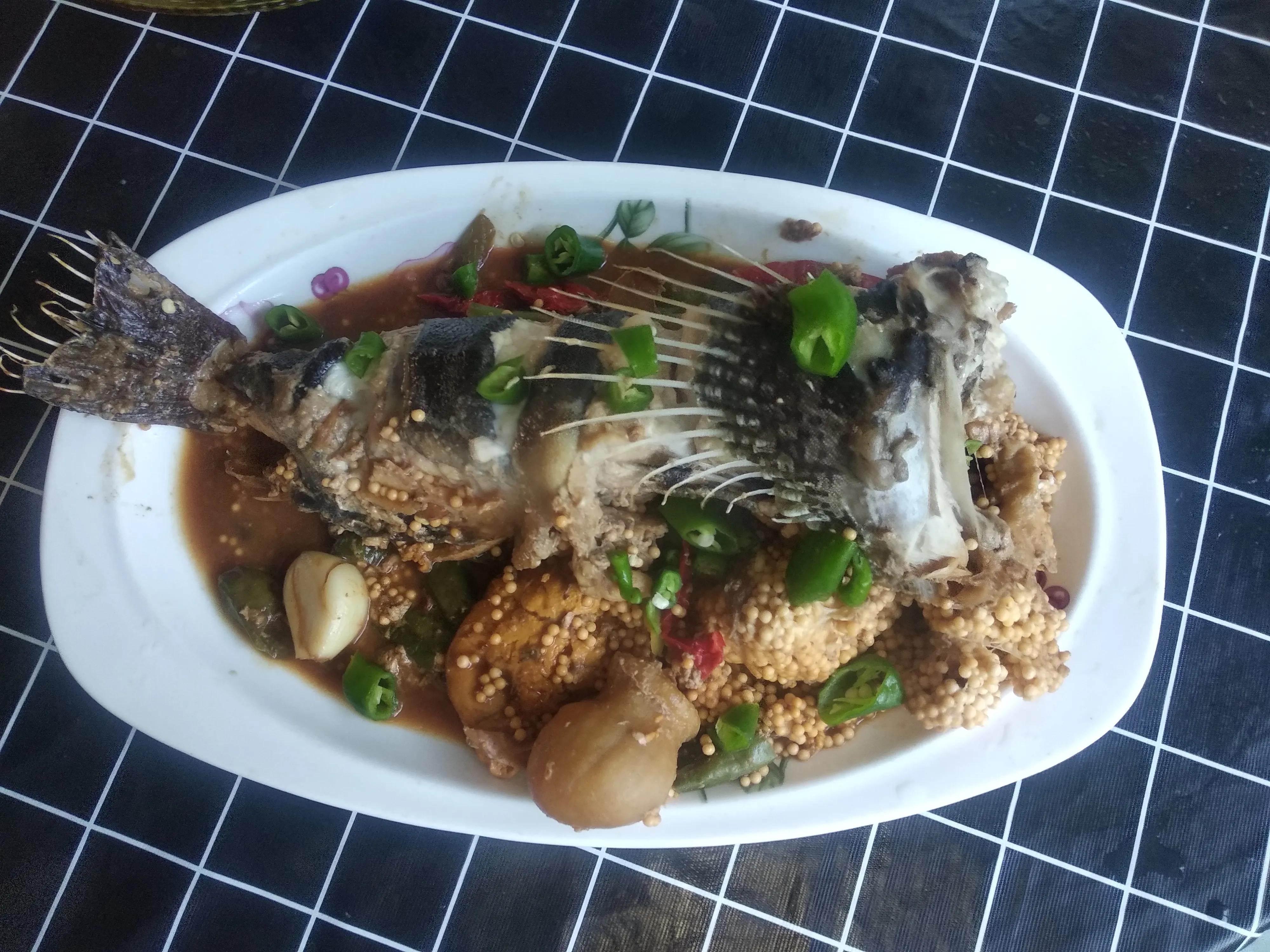 15种常见的海鱼,100种常见食用海鱼图谱