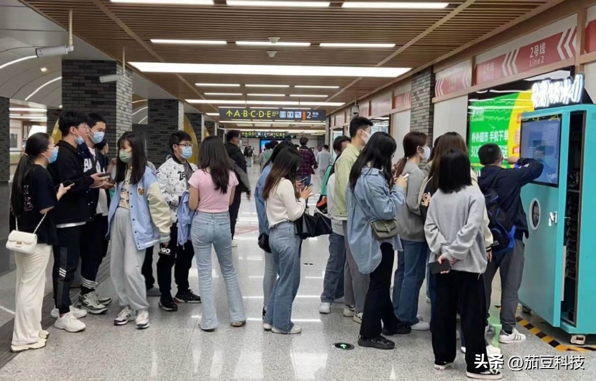 茄豆：用技术驱动可持续公益，创造多元社会价值