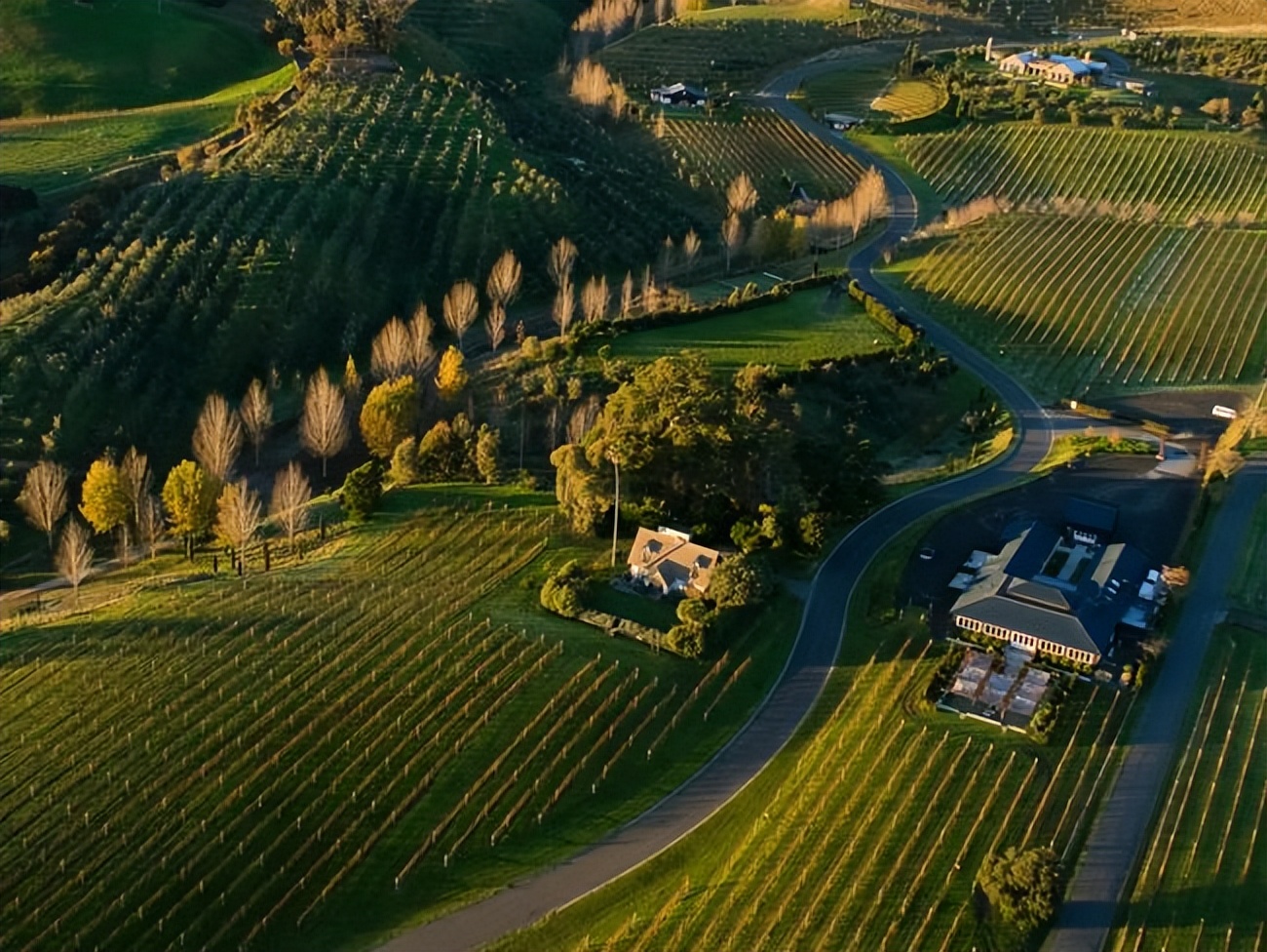 新西兰霍克斯湾,新西兰北岛霍克斯湾
