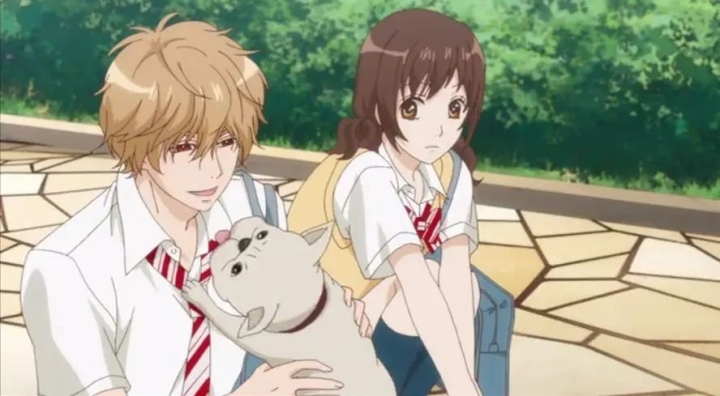 动漫推荐校园日本动漫,超好看的青春校园动漫推荐