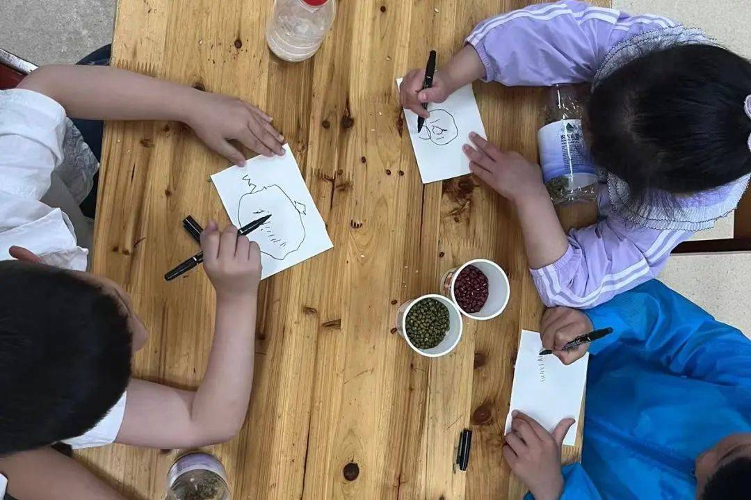 幼儿园感官游乐园主题,幼儿园感官游乐园主题课程