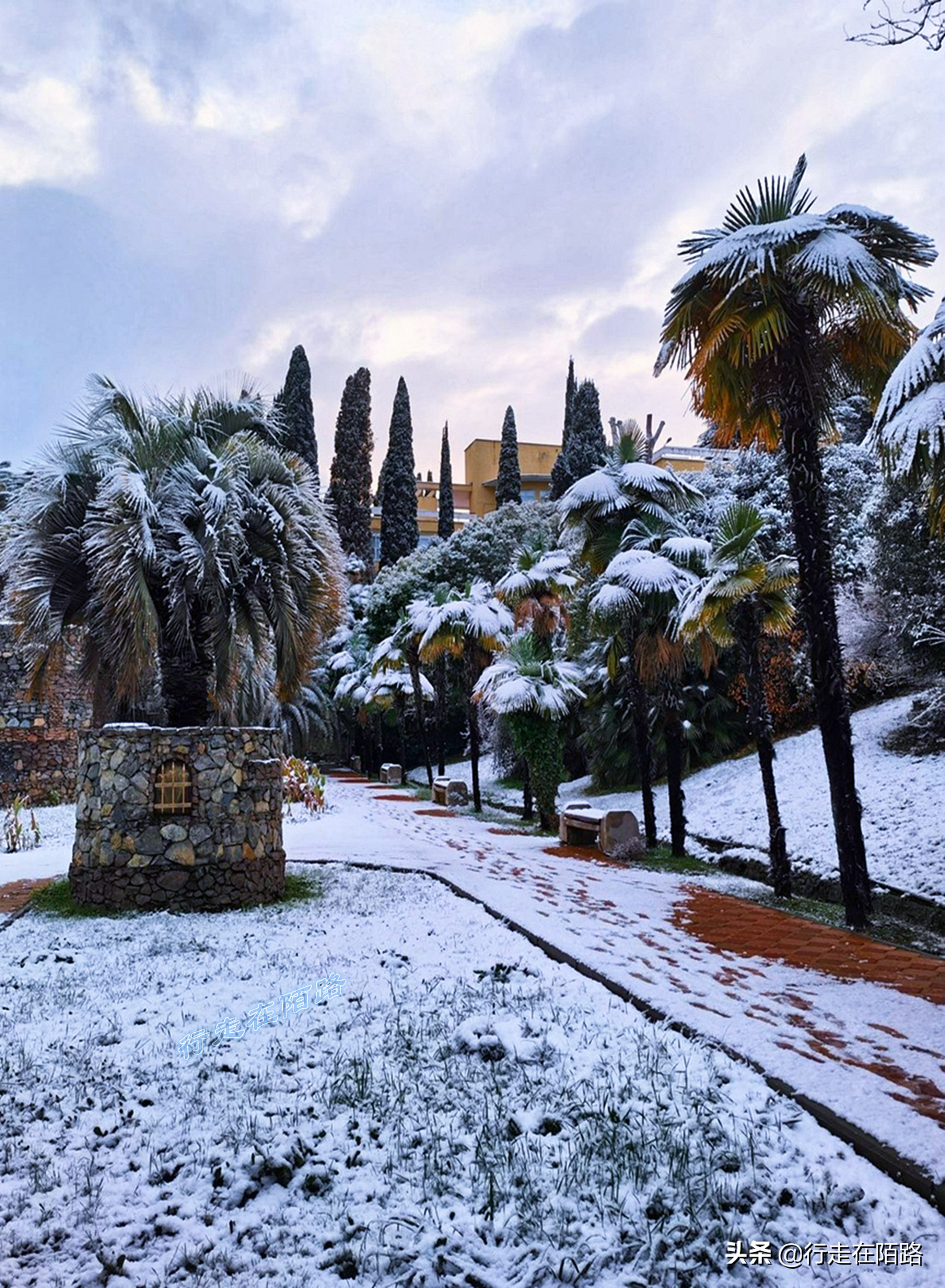 俄罗斯索契天气,俄罗斯索契冰天雪地