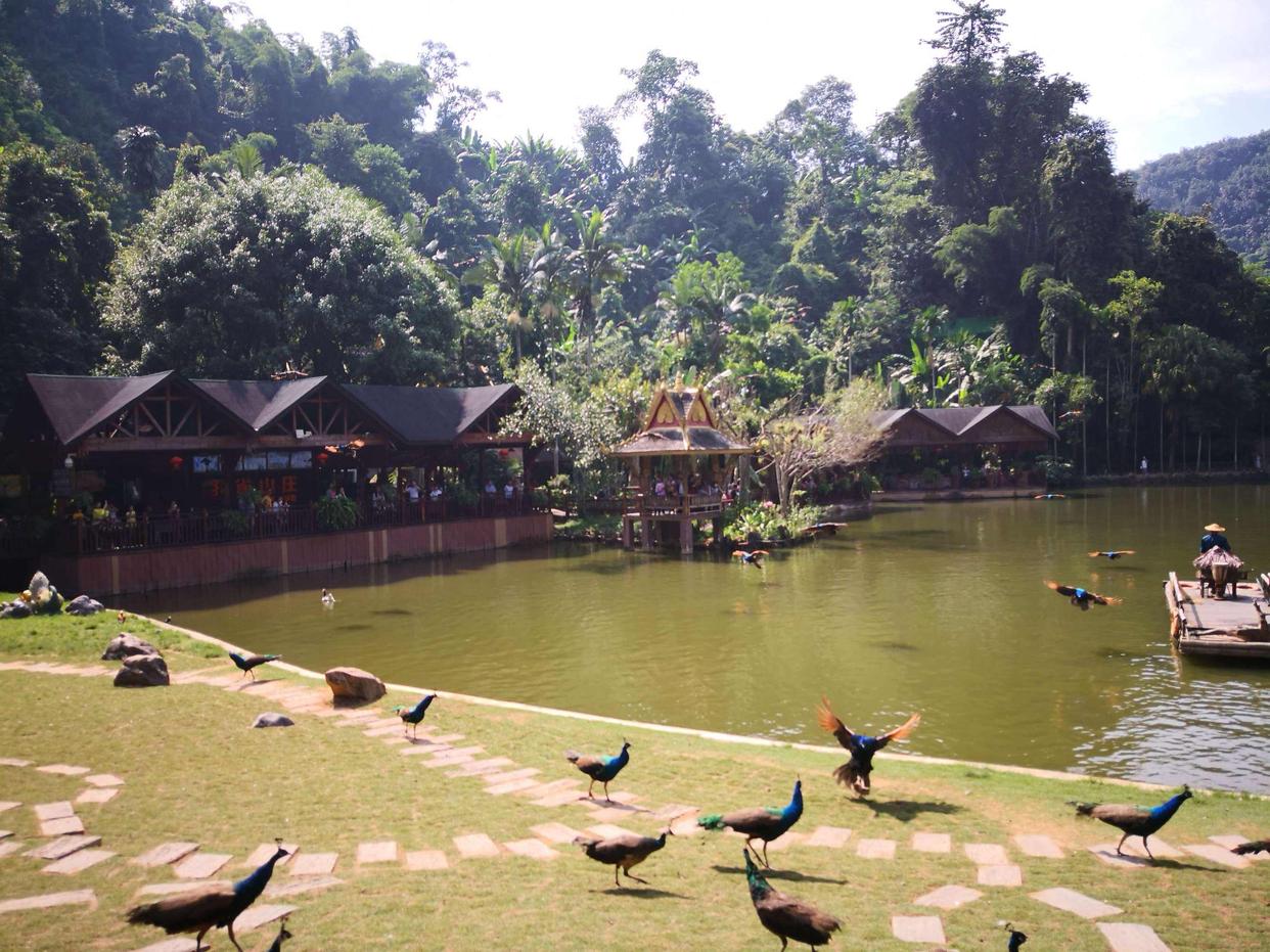 云南适合养老居家的地方,云南最适合长期养老的地方