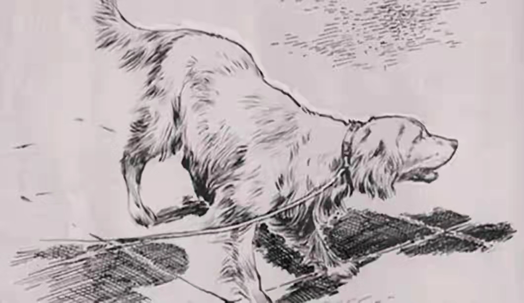 民间故事小伙搬新宅,民间故事男子搬新家