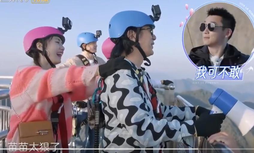 郑钧评价苗苗扮猪吃老虎,苗苗评价郑钧刘芸