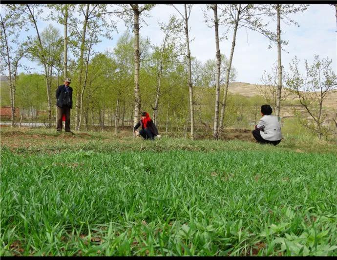 你理想中的乡村生活是这样的吗,你眼中的乡村生活是什么色彩的