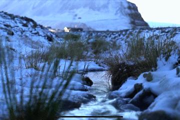 北极圈极夜生活,北极圈的极夜生活