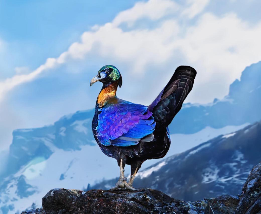 2022.9.12学习笔记