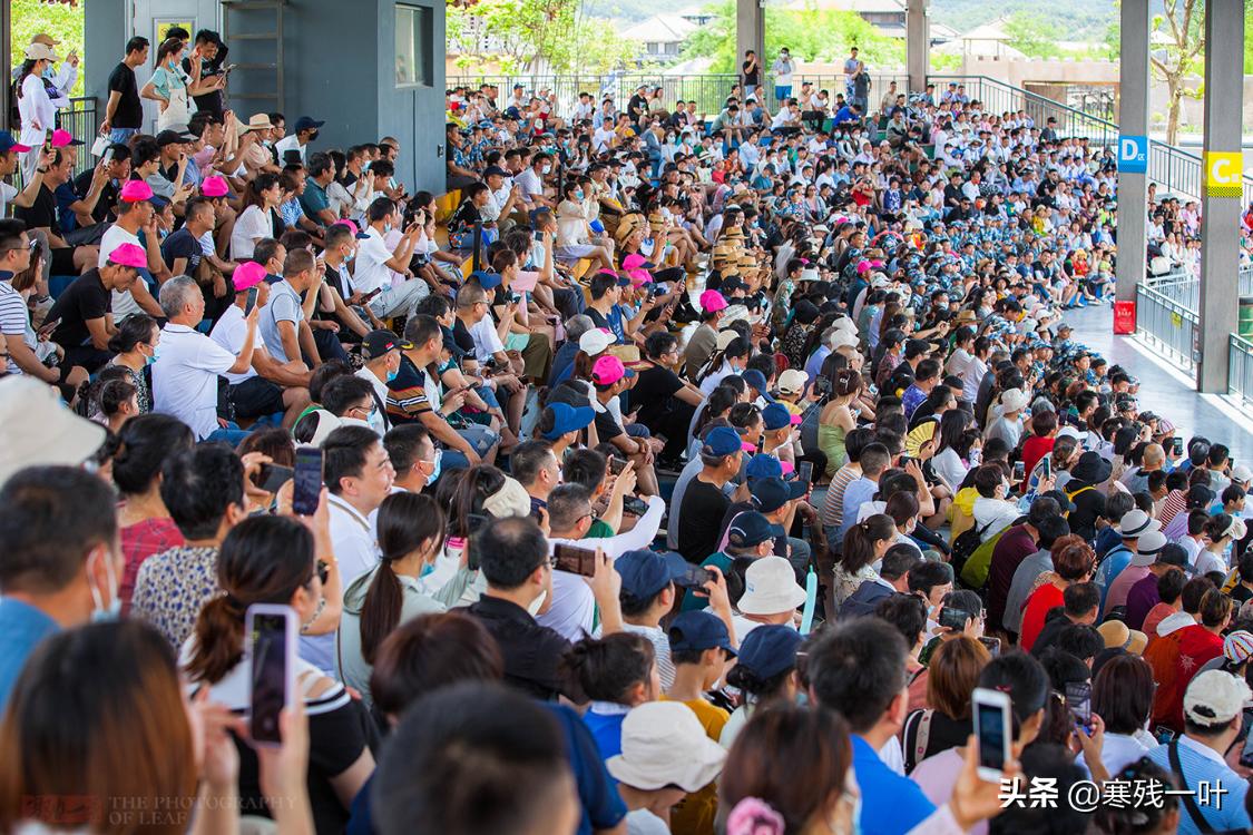现在去象山影视城,来象山一定要打卡象山影视城