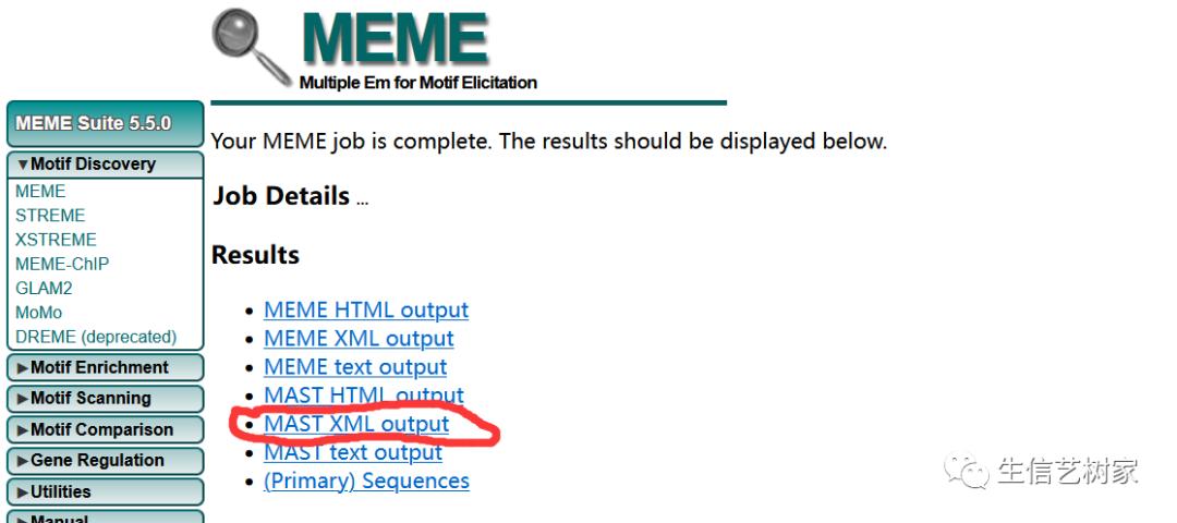 TBtools|基因家族分析,进化树、Motifs、结构域