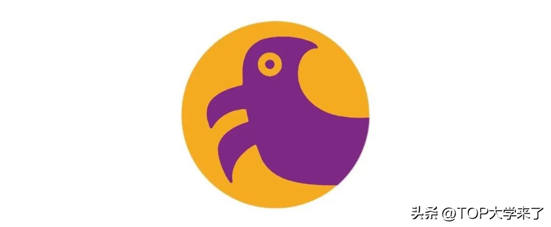 香港中文大学几时用新校徽,香港中文大学新校徽引争议