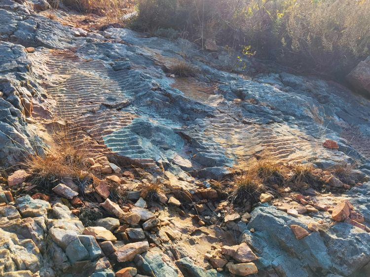 旅顺城山,旅顺城山怎么绕过去