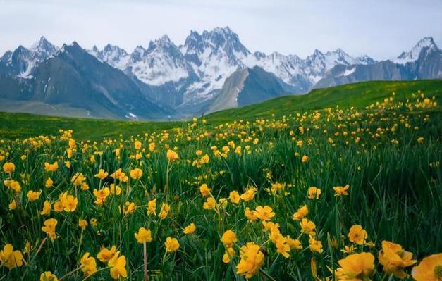 去*疆新**能带老人和孩子旅游玩么？去*疆新**需要准备什么东西？