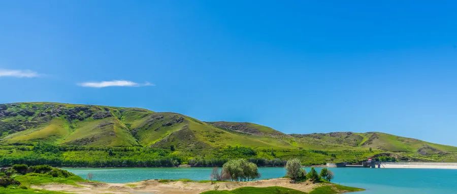 松动的政策能让旅行社在暑假“咸鱼翻身”吗？