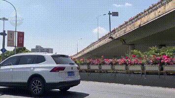 何必远游，昆明这些路上的美景就美呆