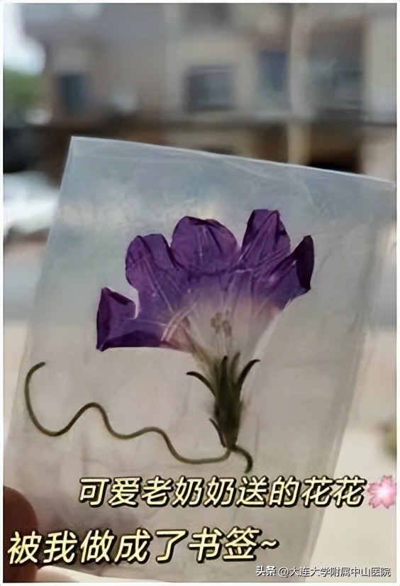 【战疫回忆】“疫”路同行情意更浓