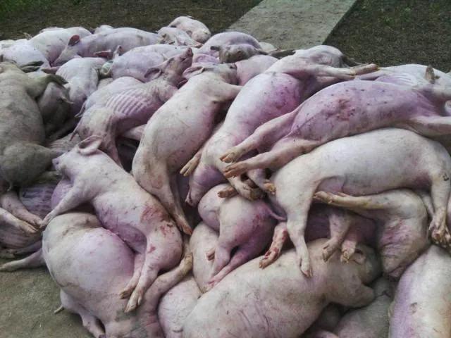 90后的我创业失败了说说,90后的我创业失败负债