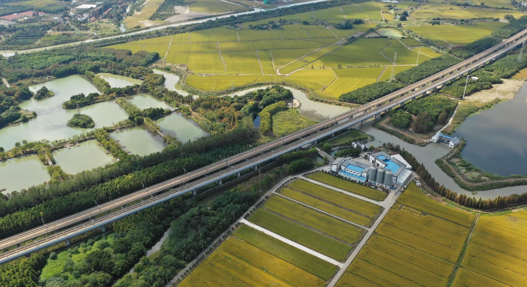 那些在小县城混得好的人,那些生活在农村的年轻人