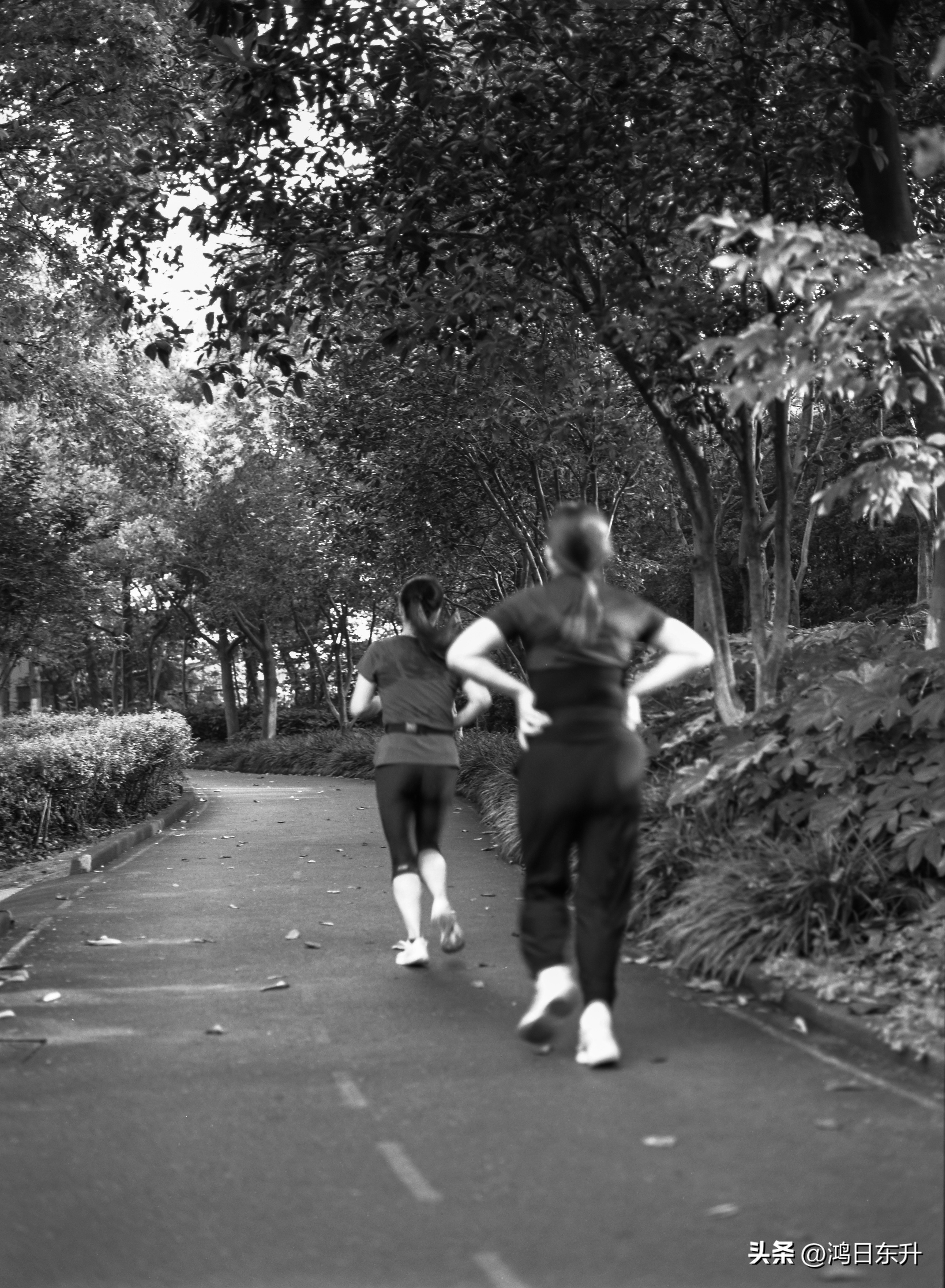 宾得645Nii老胶片相机值得拥有