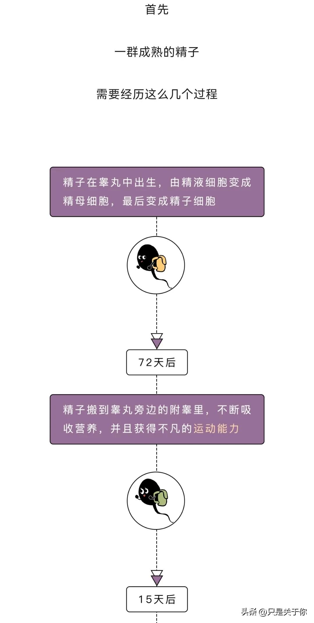 那些男人硬憋回去的“精子”都跑哪去了？这个操作伤身体吗？漫画