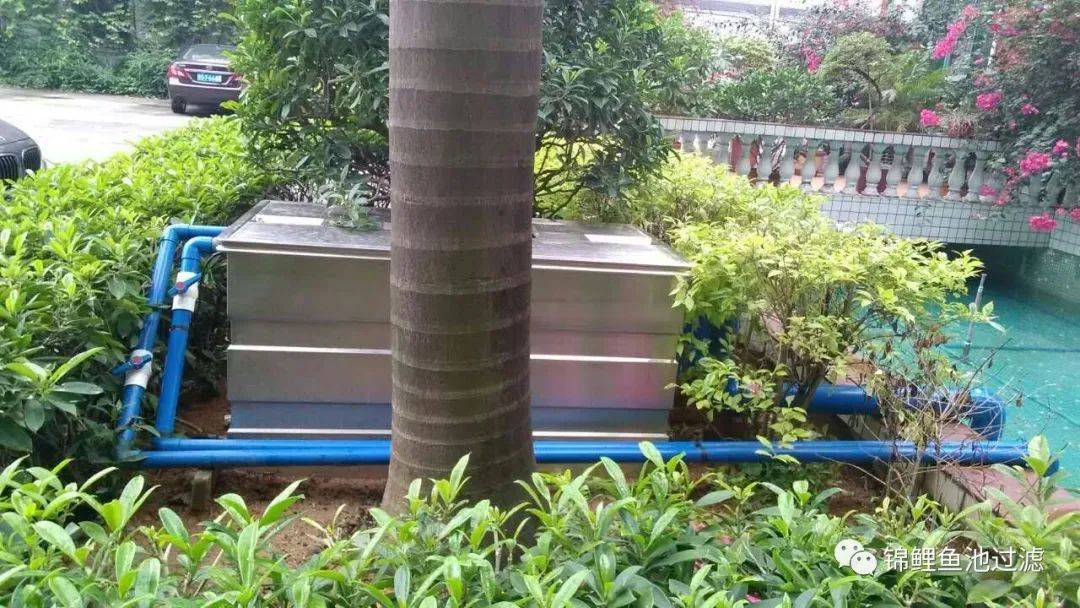 锦鲤鱼池过滤系统制作方法视频,锦鲤鱼池过滤高清详细设计图纸