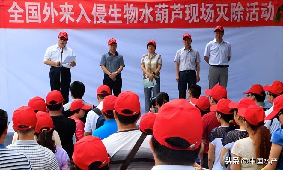 水生外来物种入侵防控工作方案,水生动物防疫