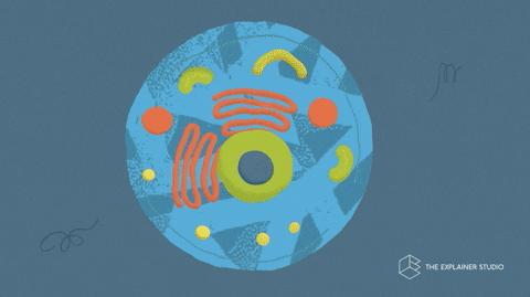 基因治疗带来的希望,基因疗法有望治愈的10种疾病