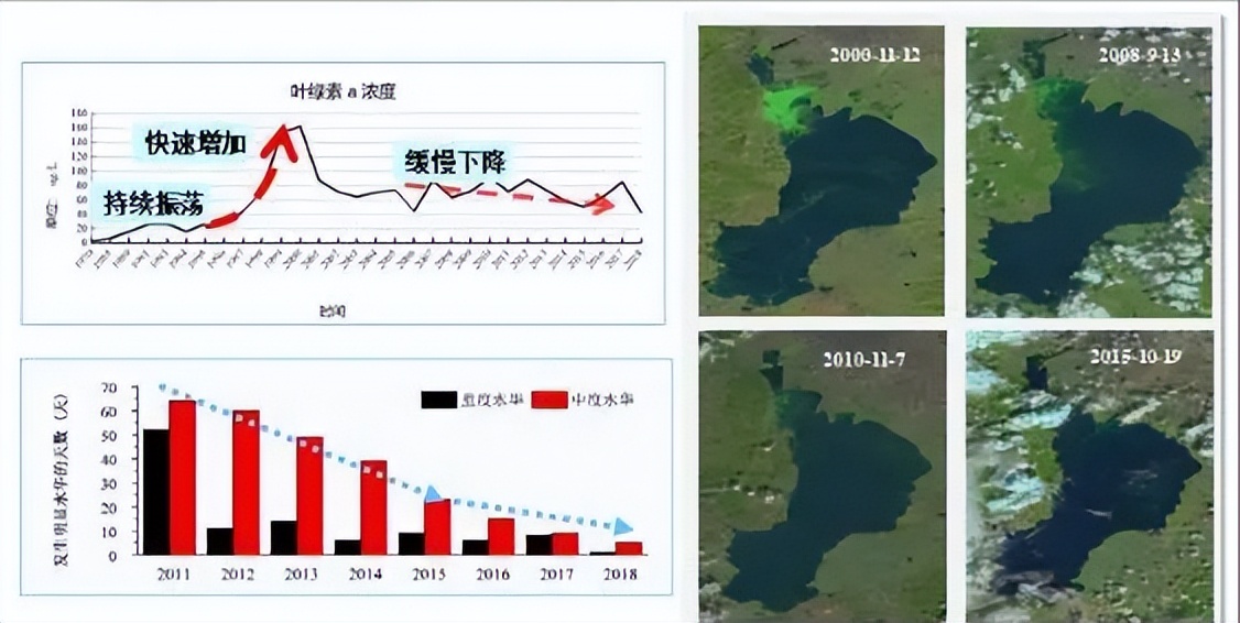 两种环境富集方法对石斑鱼幼鱼认知能力和生长性能的影响
